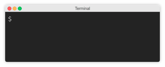 Terminal with buffered output