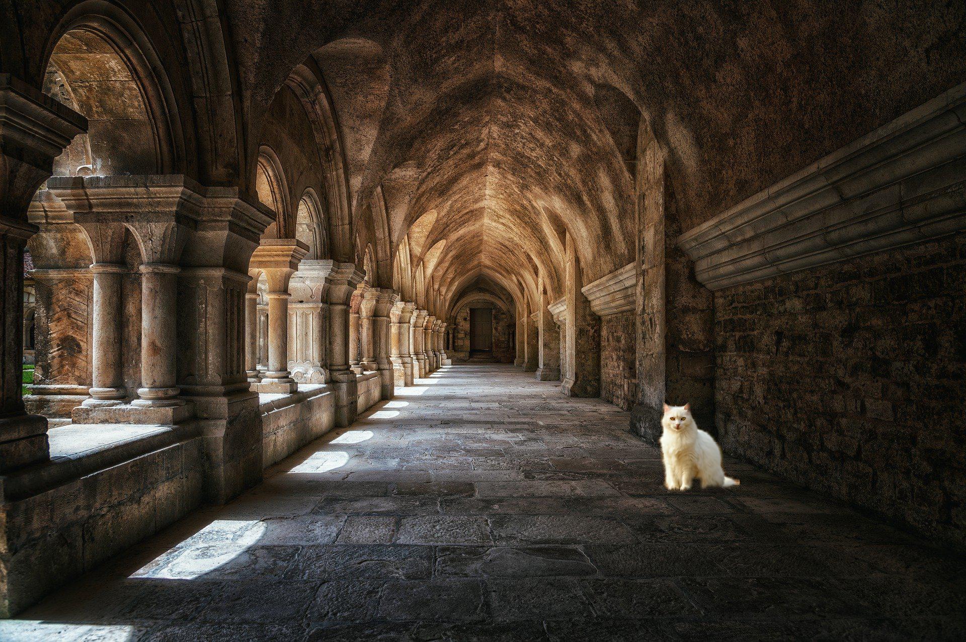 Segmented image of cat superimposed on monastery image