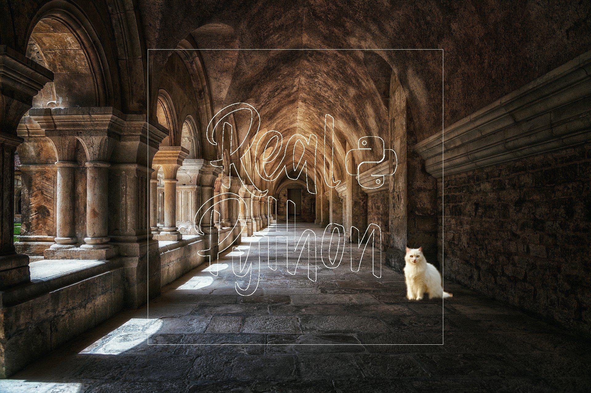 Image of cat in monastery with Real Python watermark