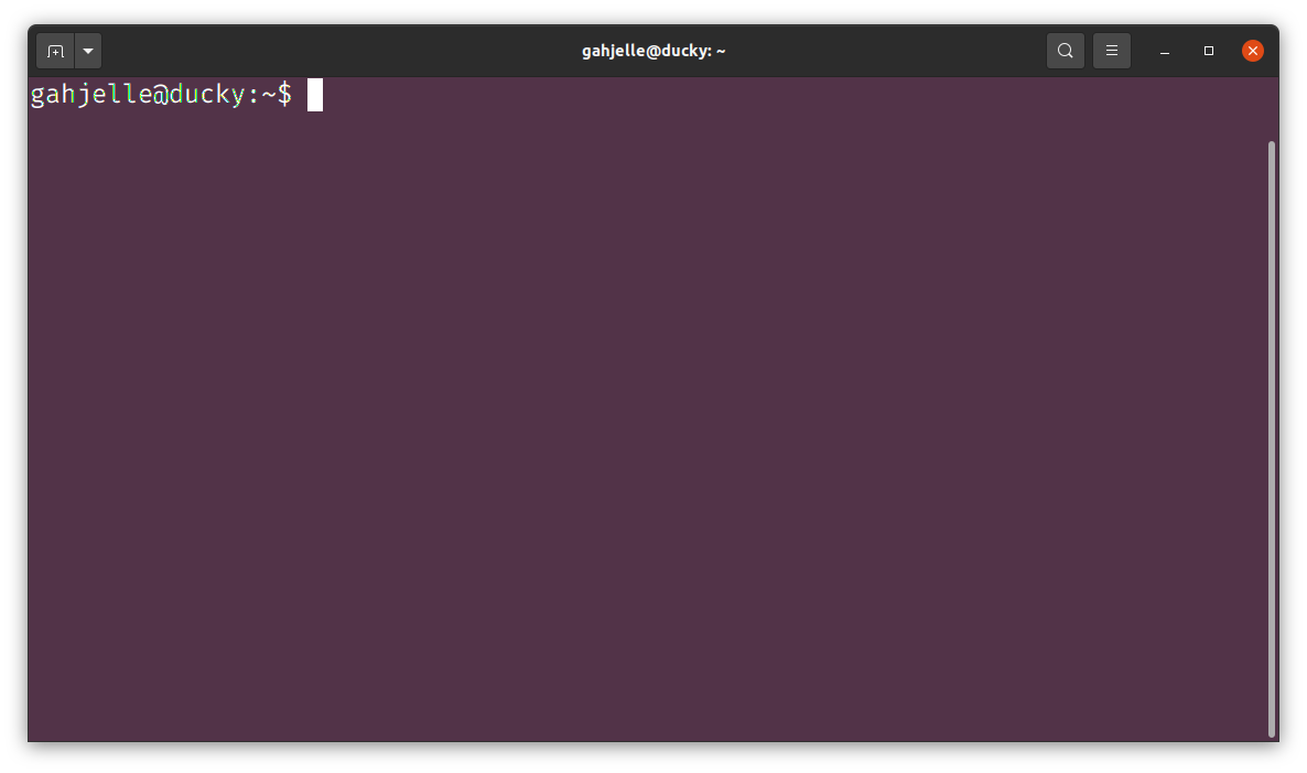Screenshot of the Linux terminal
