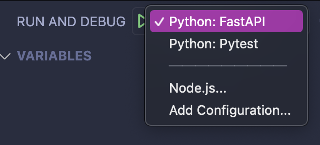 VS Code Launch Selection